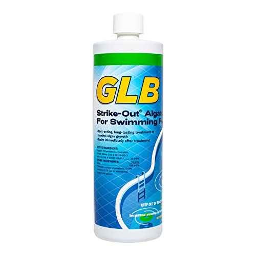 GLB Pool & Spa Products 71114 1-Quart Strike Out Algaecide