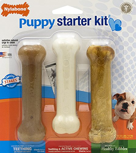 Nylabone Just for Puppies Starter Kit