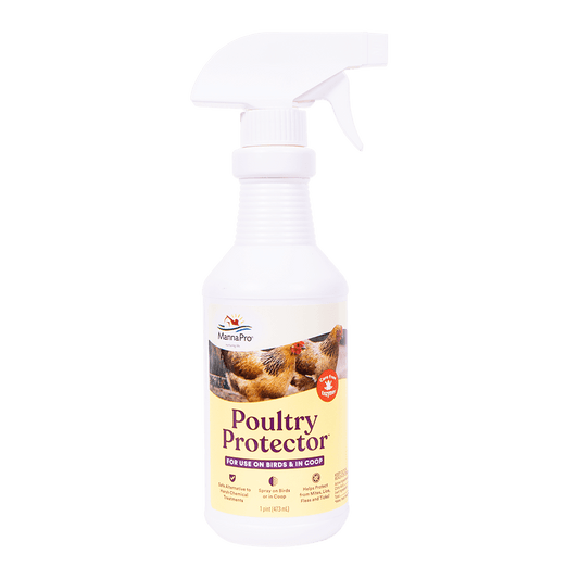 Manna Pro CareFree Enzymes Poultry Protector, 16 Ounces