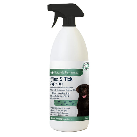 Natural Flea & Tick Spray for Dogs 24oz