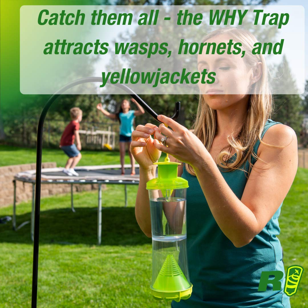 RESCUE! WHY Trap Attractant Refill – 2 Week – image 3