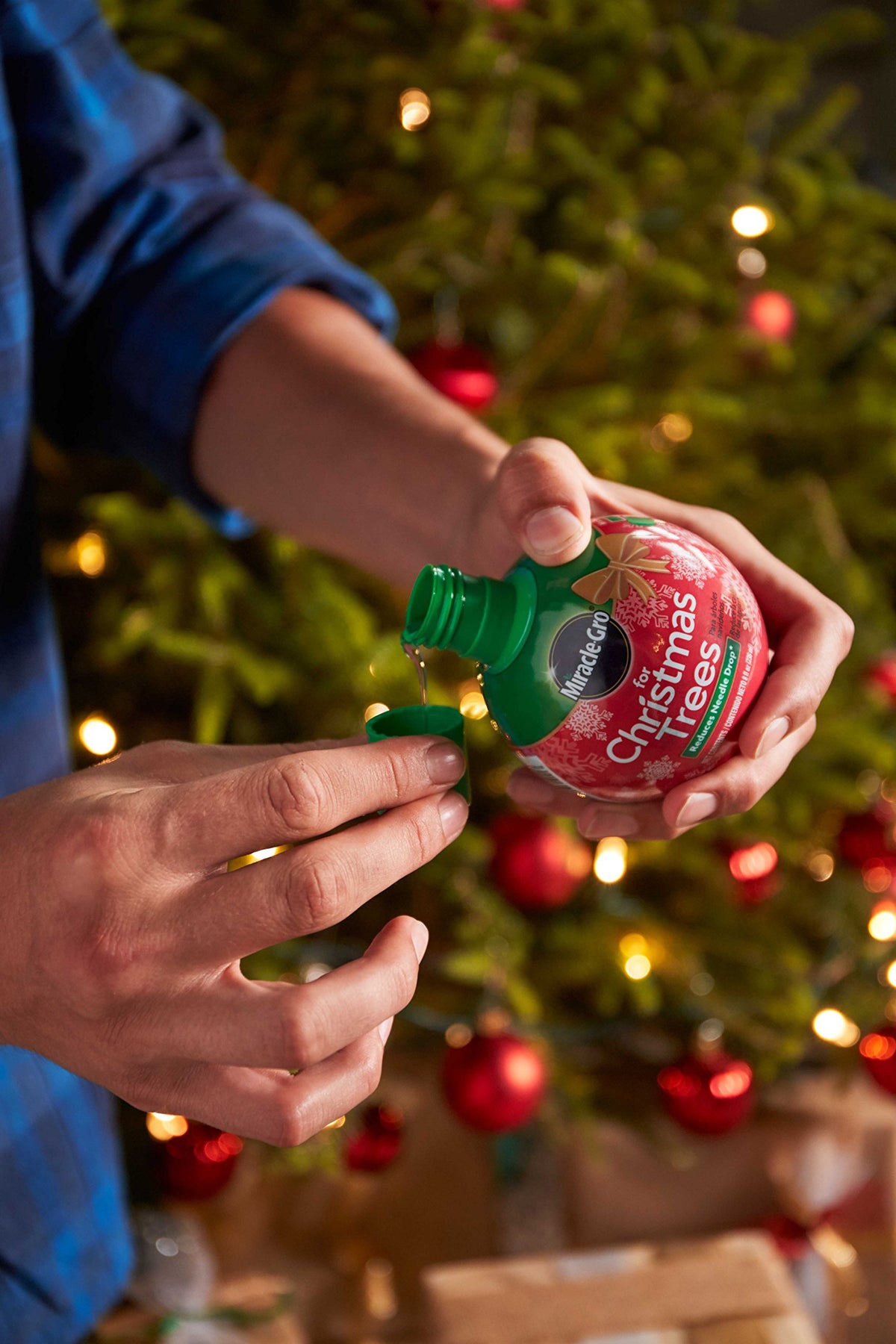 Miracle-Gro for Christmas Trees – image 3