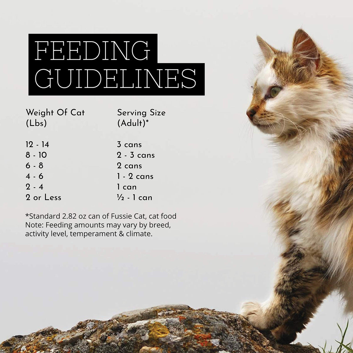 Fussie Cat Chicken & Vegetables in Gravy Wet Cat Food – 2.82 oz, Case of 24 – image 3