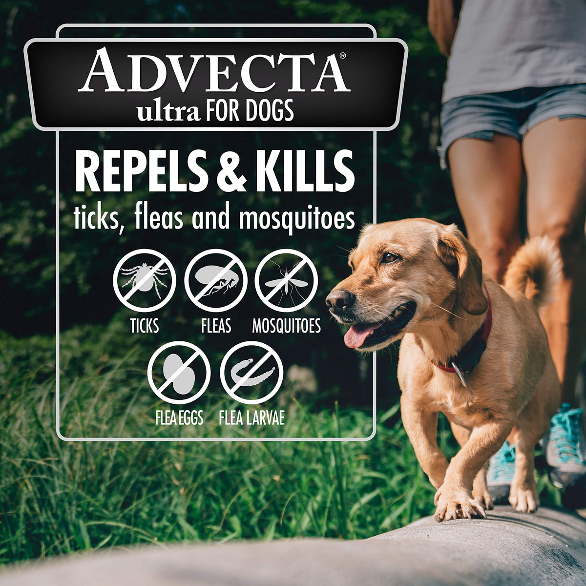 Advecta Ultra Flea & Tick Treatment for Medium Dogs – 4 Month Supply – image 3