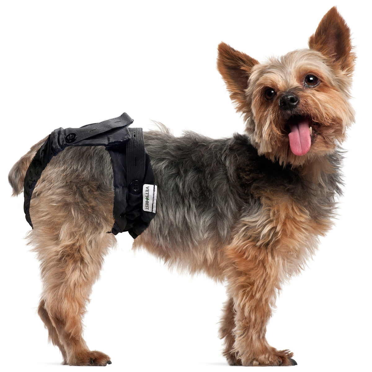 Vet's Best Washable Female Dog Diaper – XXS/XS – image 3