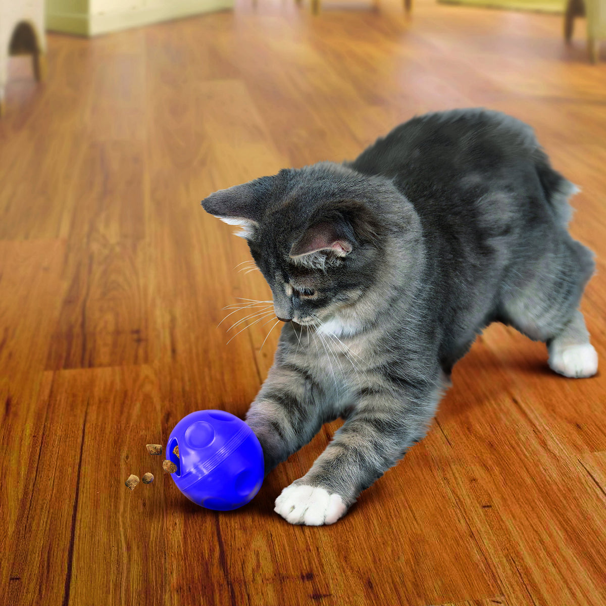 KONG Cat Treat Dispensing Ball – image 2