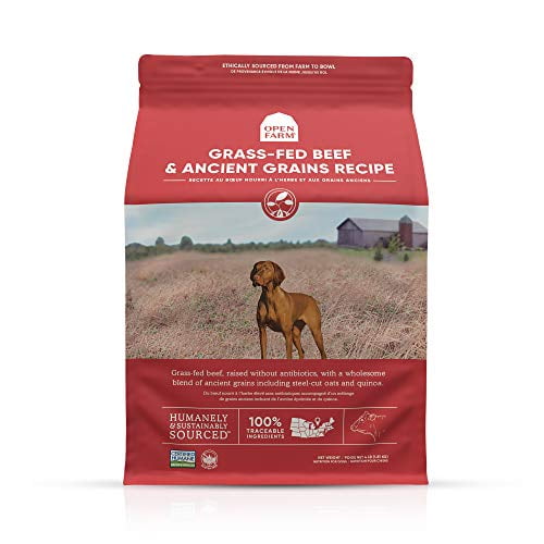 Open Farm Grass-Fed Beef & Ancient Grains Dry Dog Food, 100% Grass-Fed Wagyu Recipe with Wholesome Grains and No Artificial Flavors or Preservatives, 4 lbs